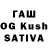 Cannafood конопля Terence Teggin